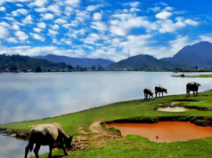 Ini 5 Tempat Wisata Tersembunyi di Bukittinggi yang Paling Mengagumkan