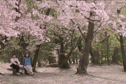 Sinopsis Film Korea “Memories of a Dead End” sinopsis film korea memories of a dead end