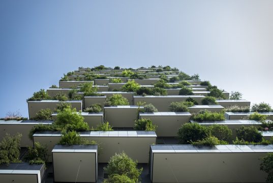 Ingin Sewa Apartemen Bulanan ? Simak Dulu Tipsnya sewa apartemen