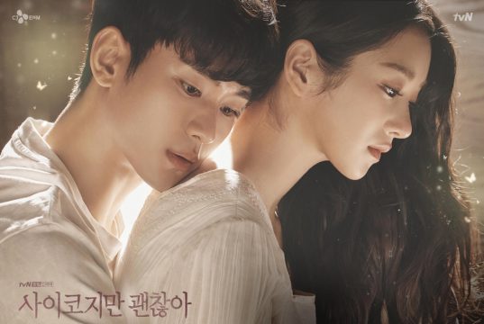 Sinopsis Drama Korea Its Okay to Not To be okay It's Okay To Not Be Okay