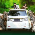 taman safari bogor