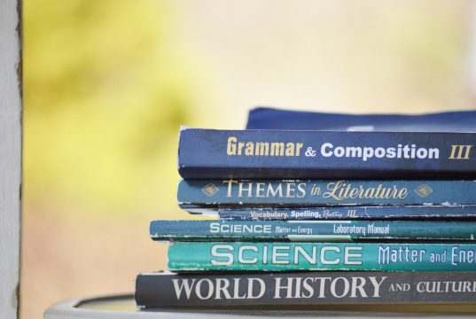 Tips Memilih Mentor Bahasa Inggris Yang Handal kursus bahasa asing