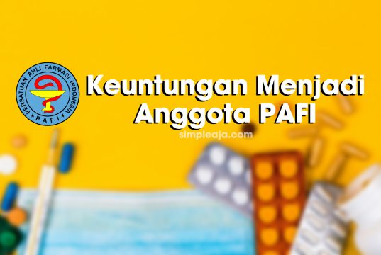 Keuntungan Menjadi Anggota PAFI Kota Mojokerto, Menuju Tenaga Ahli Kefarmasian yang Profesional Keuntungan Menjadi Anggota PAFI